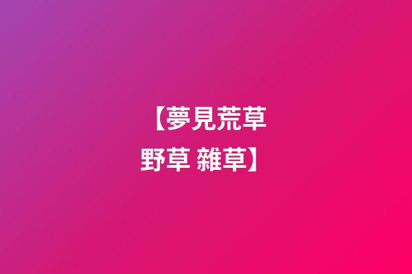 【夢見荒草 野草 雜草】